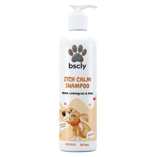 bscly Itch calm shampoo — BSCLY