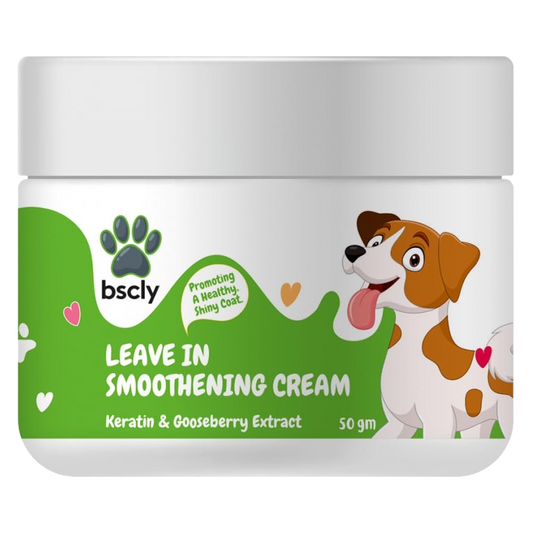 bscly Leavein Smoothening Cream — BSCLY