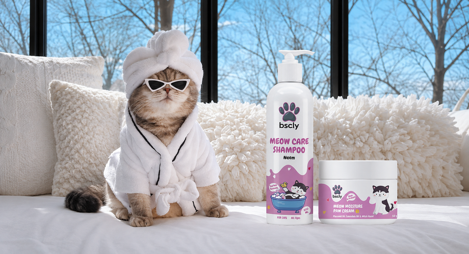 Cat care