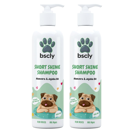 bscly Short Shine Shampoo — BSCLY