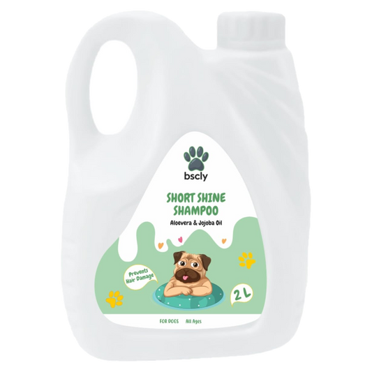 bscly Short Shine Shampoo — BSCLY