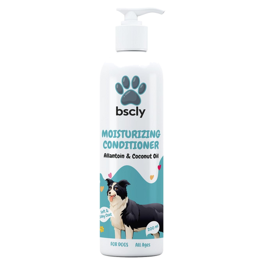 bscly Moisturizing Conditioner — BSCLY
