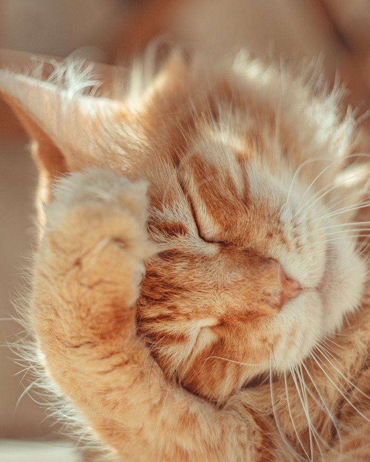 Itching & scratching